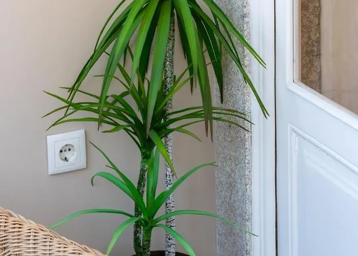 Daire Classic Meets Modern - Downtown Balcony Retreat Porto