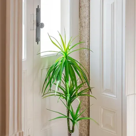 Apartamento Classic Meets Modern - Downtown Balcony Retreat Oporto