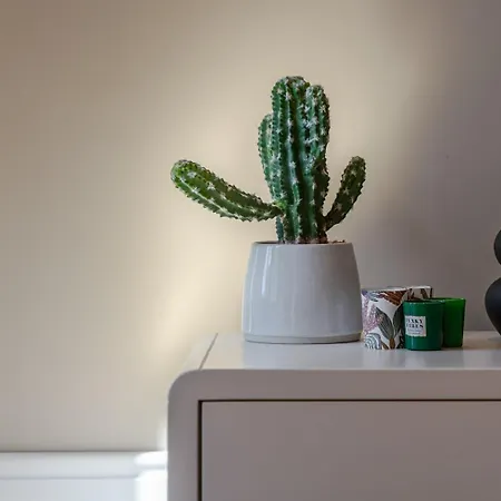 Classic Meets Modern - Downtown Balcony Retreat * Oporto