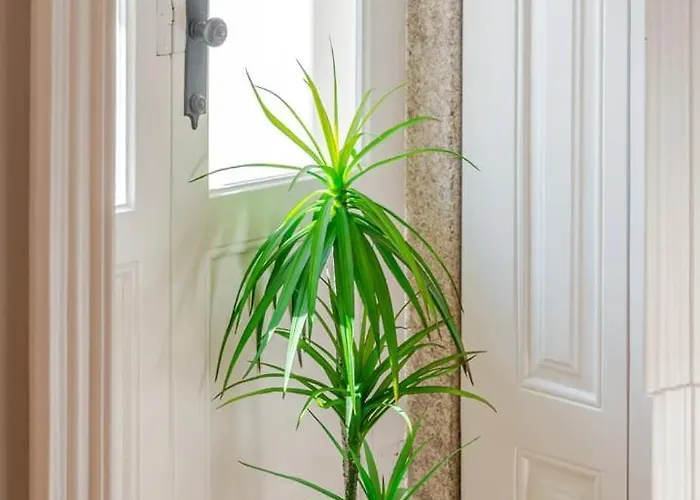 Apartman Classic Meets Modern - Downtown Balcony Retreat Porto