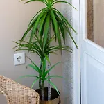 Lejlighed Classic Meets Modern - Downtown Balcony Retreat Porto