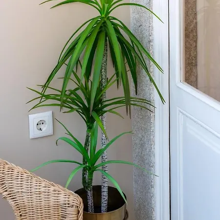 Апартаменты Classic Meets Modern - Downtown Balcony Retreat Порту
